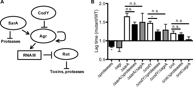 FIG 6