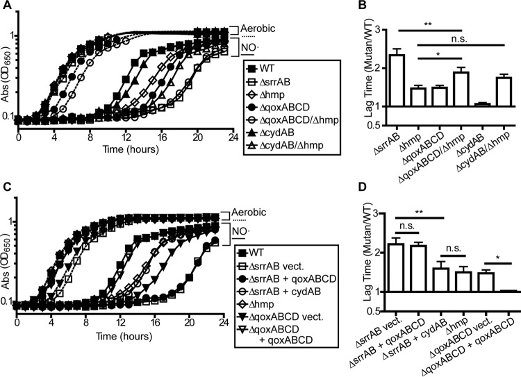 FIG 3