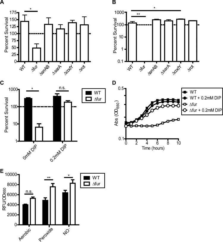 FIG 2