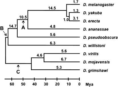 Figure 2.—