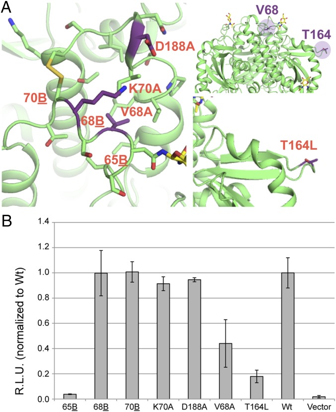 Fig. 3.