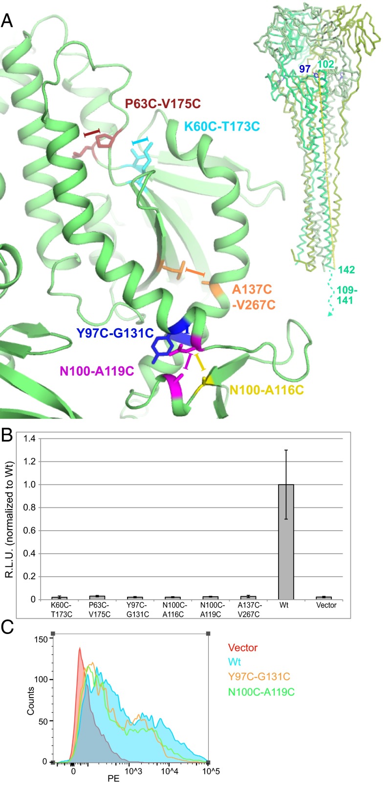 Fig. 5.