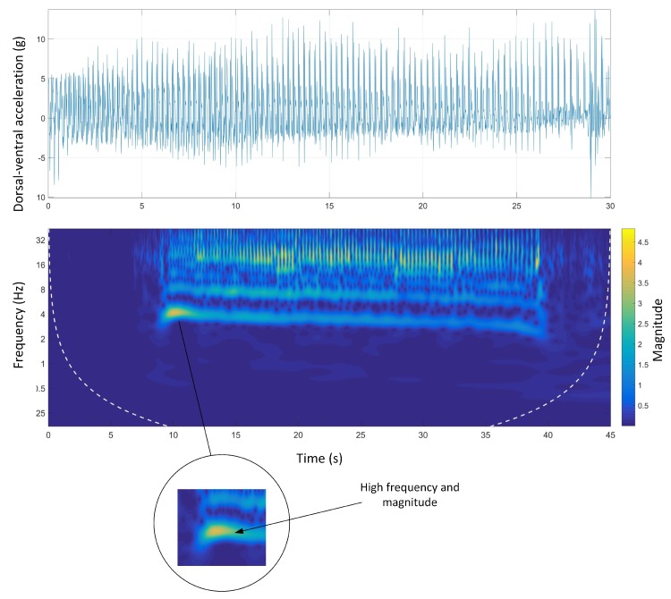 Figure 13