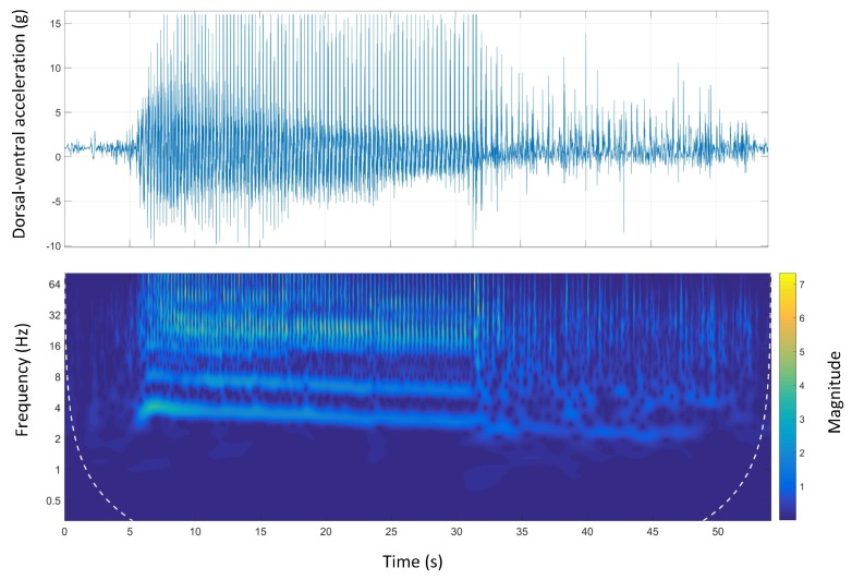 Figure 11