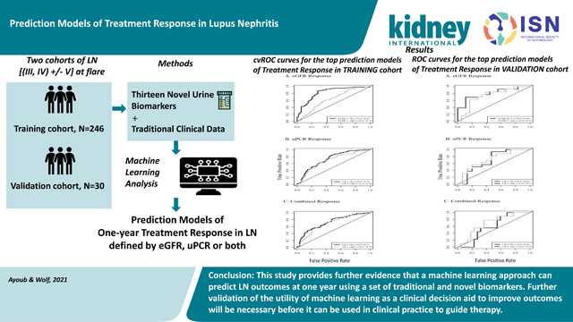 graphic file with name nihms-1761798-f0001.jpg