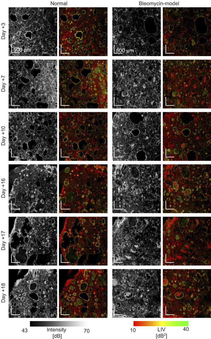 Fig. 4.