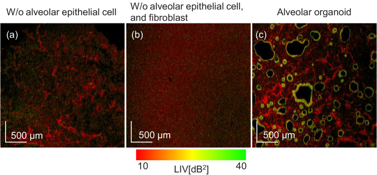 Fig. 10.