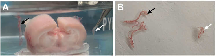 Figure 6.