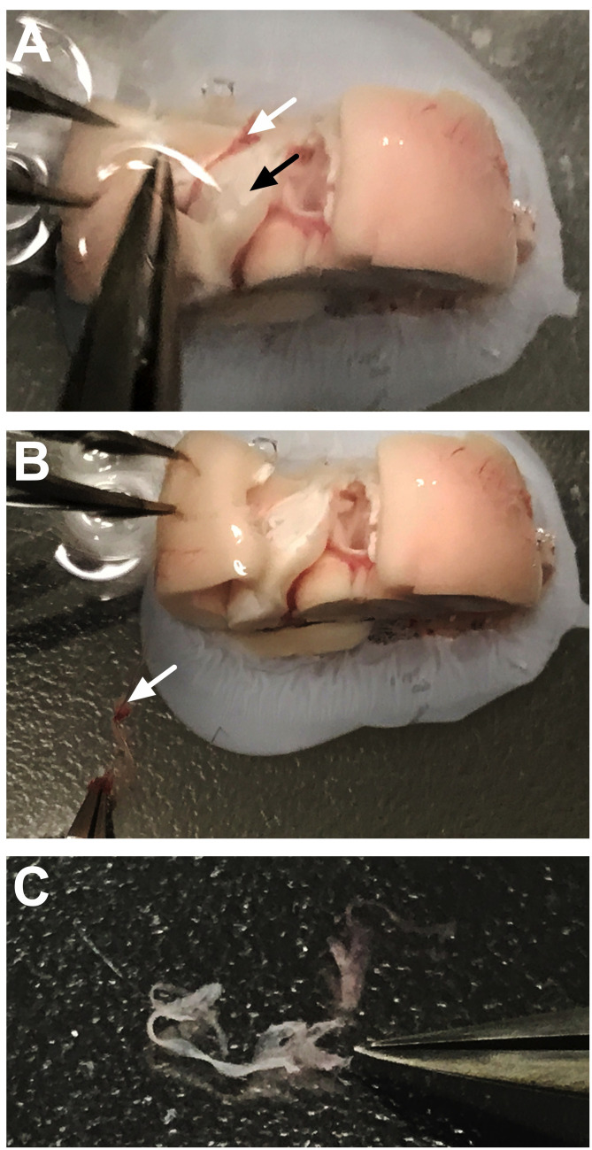 Figure 5.