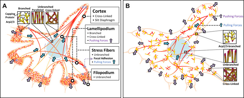 Figure 10.