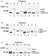 FIG. 3