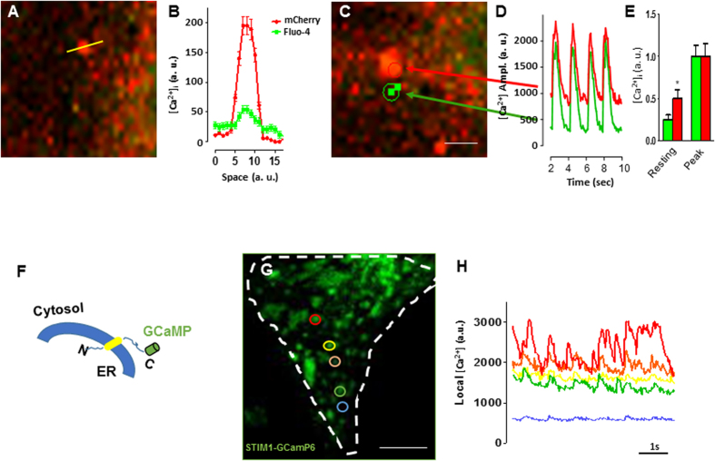 Figure 6