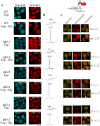 Fig. 4.