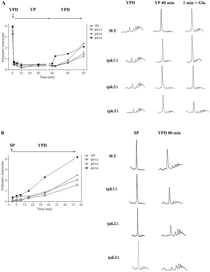 Fig. 8.