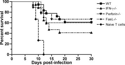 FIG. 7.