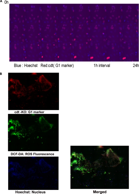 FIGURE 3.