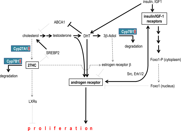 Figure 5