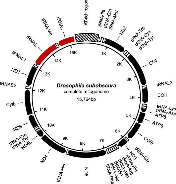 Fig. 2