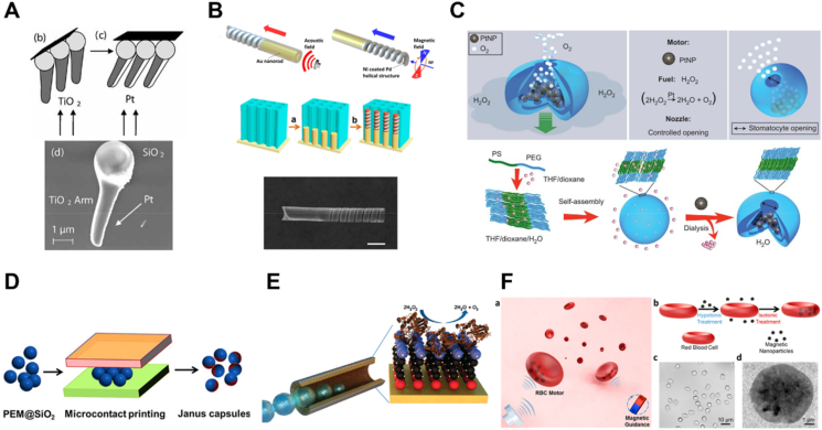 Figure 2