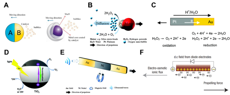 Figure 3