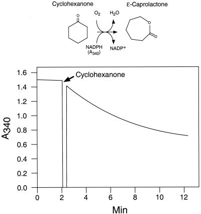 FIG. 5