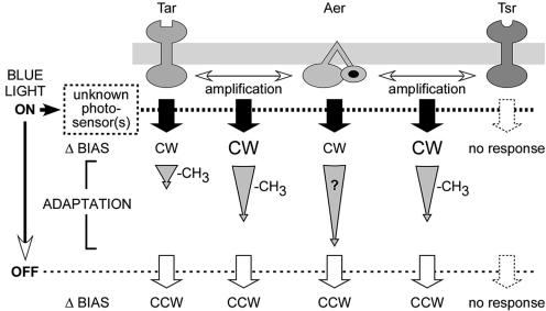 FIG. 7.