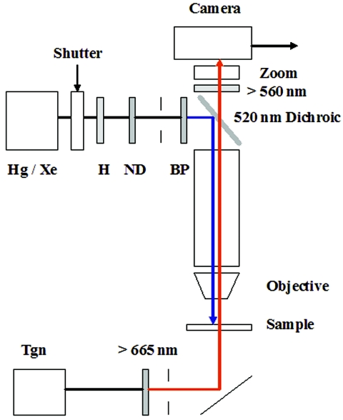 FIG. 1.