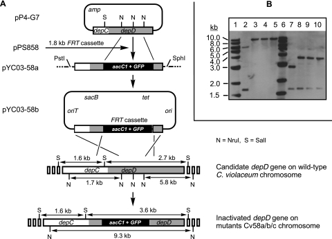 FIG. 3.