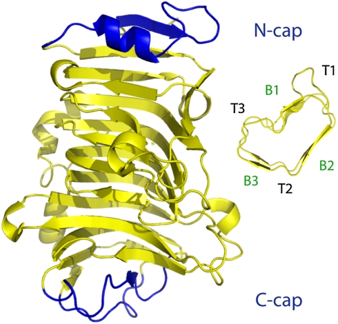 Fig. 1.