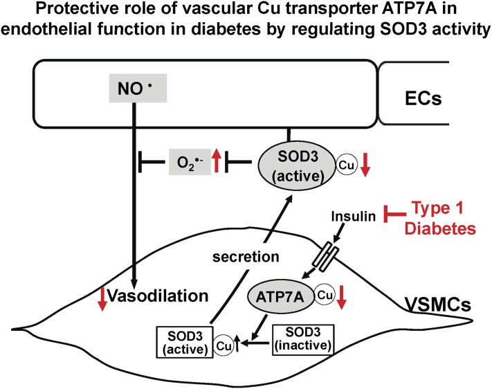 FIG. 8.