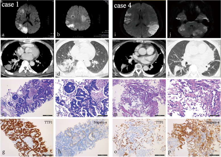 Fig. 4