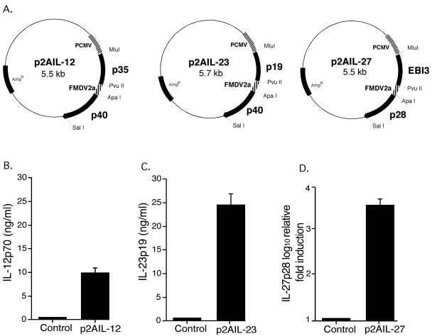 FIG. 2.