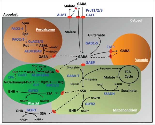 Figure 1.