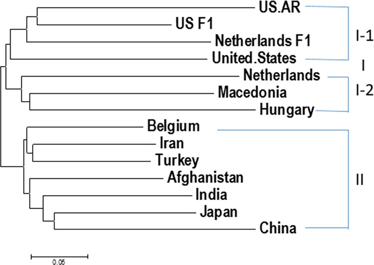 Fig 6