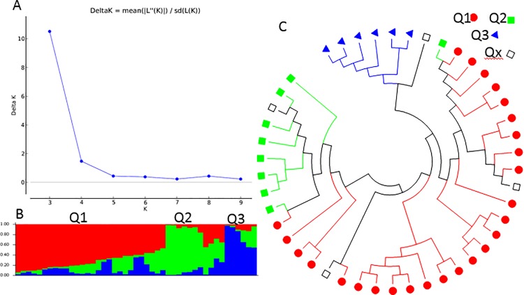 Fig 4