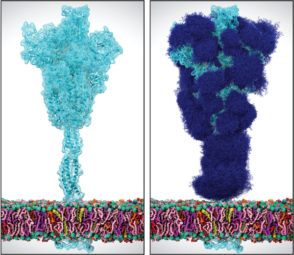 Figure 1: