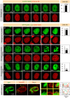 FIGURE 5: