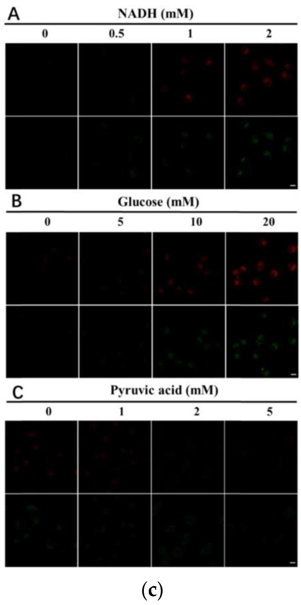 Figure 40