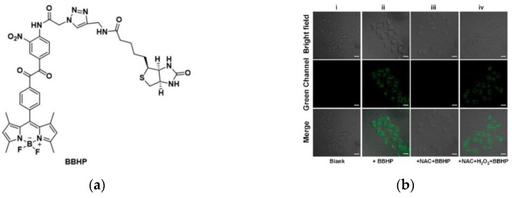 Figure 33