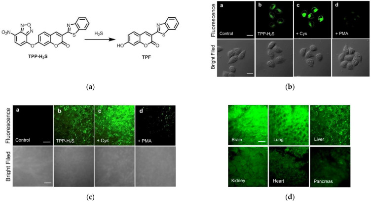 Figure 27