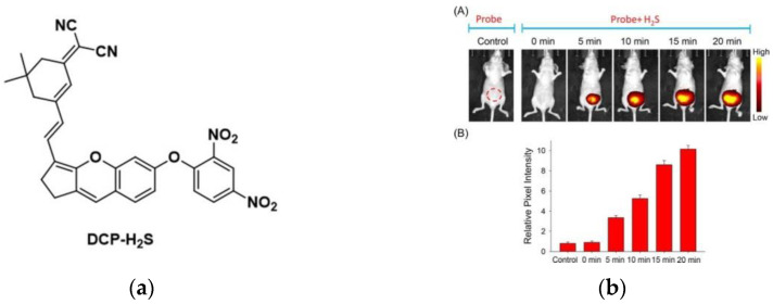 Figure 30