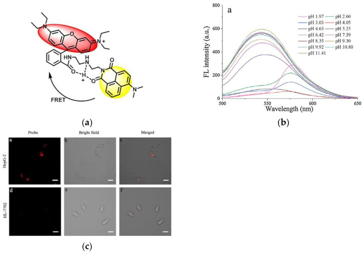 Figure 13