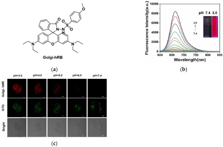 Figure 17