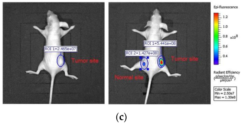 Figure 16