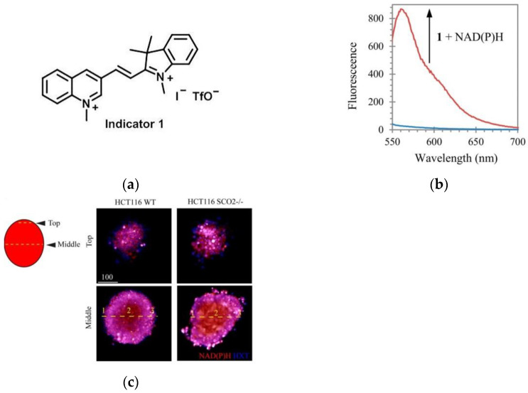 Figure 38