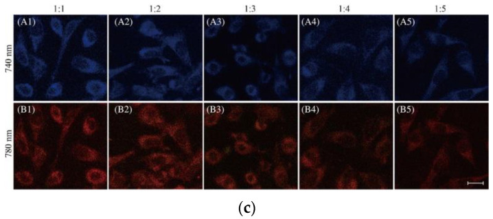 Figure 22