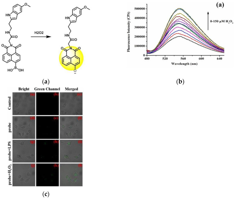 Figure 32