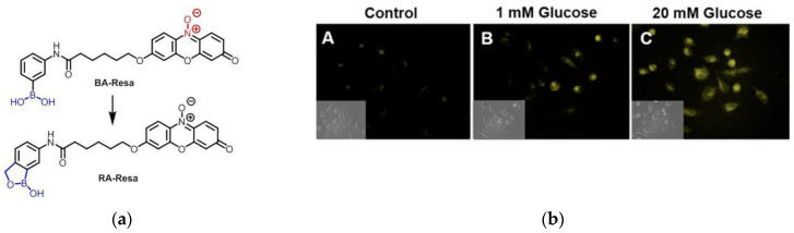 Figure 37