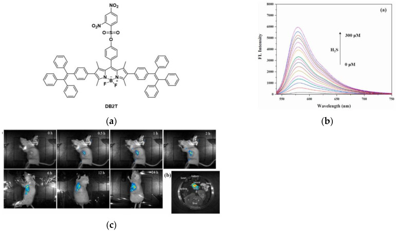 Figure 29