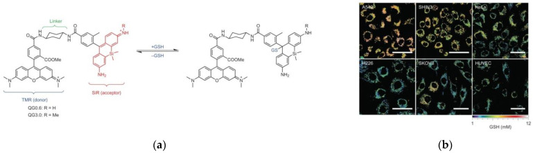 Figure 19